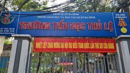 Sắc hoa mùa xuân