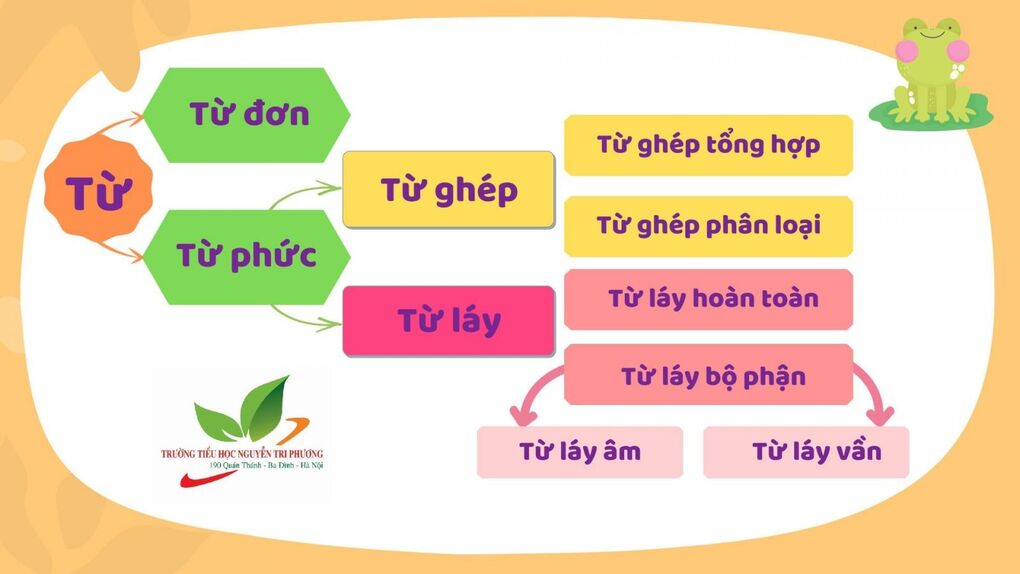 Giới thiệu từ đơn, từ phức