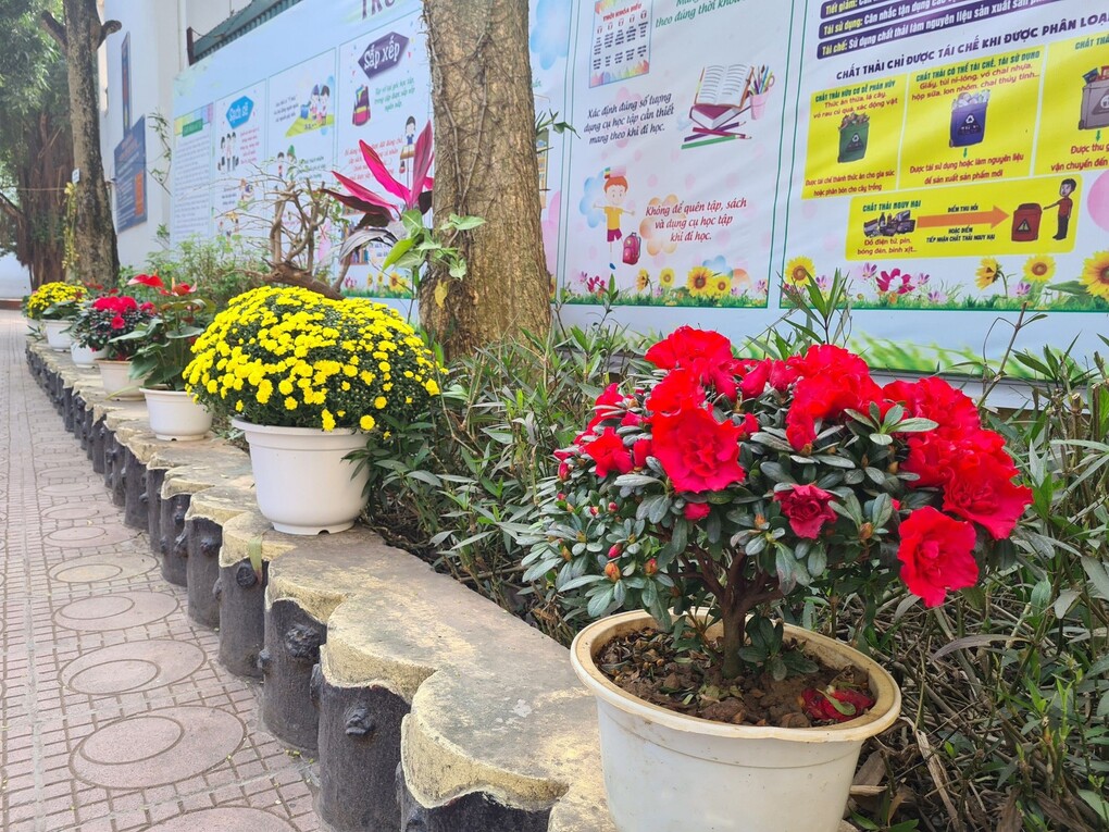 Sắc hoa mùa xuân