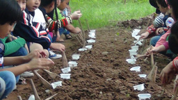 Buổi tham quan ngoại khóa tại trang trại Vạn An