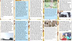 Học online và những người trợ giảng đặc biệt! 