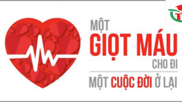 Hiến máu tình nguyện – Hoạt động ý nghĩa của trường Tiểu học Thủ Lệ trong ngày Nhà giáo Việt Nam