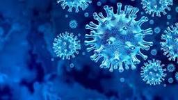 Cách vi-rút corona xâm nhập vào cơ thể và mức độ trầm trọng của các triệu chứng do vi-rút gây ra