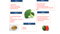 Thực đơn tuần 5 tháng 10/2020