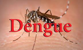 Bệnh sốt xuất huyết Dengue là gì? Khi nghi ngờ bị Sốt xuất huyết Dengue chúng ta cần làm gì?