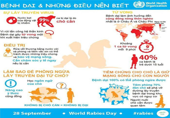 Cảnh giác bệnh dại mùa nắng nóng