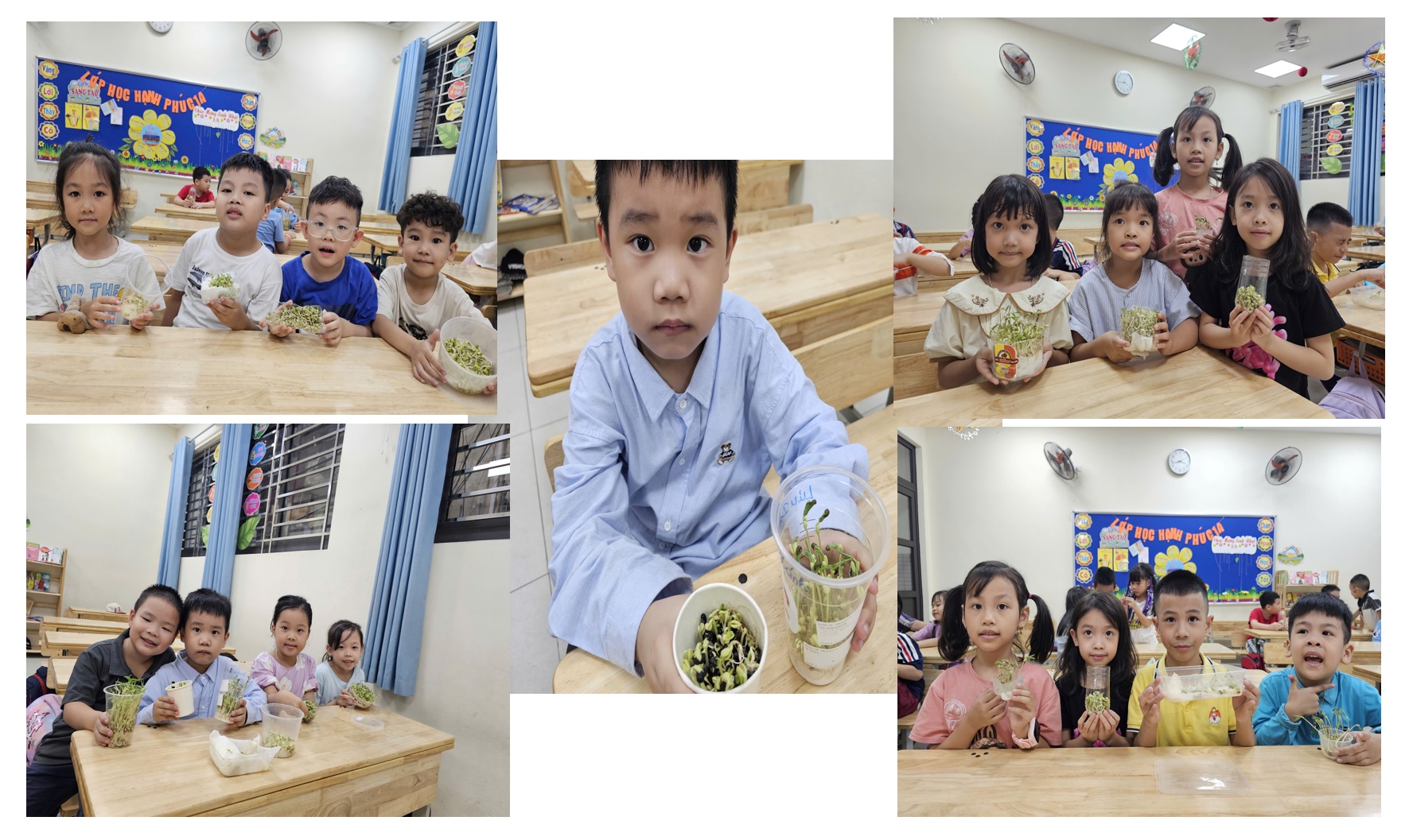 Từ bài học đến những trải nghiệm thú vị của các bạn học sinh lớp 1A- trường Tiểu học Thủ Lệ.