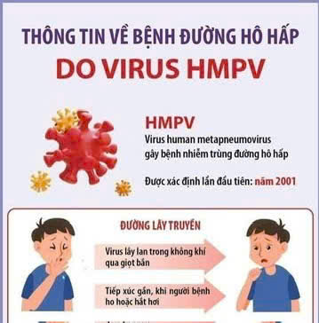 Thông tin về bệnh đường hô hấp do virus HMPV