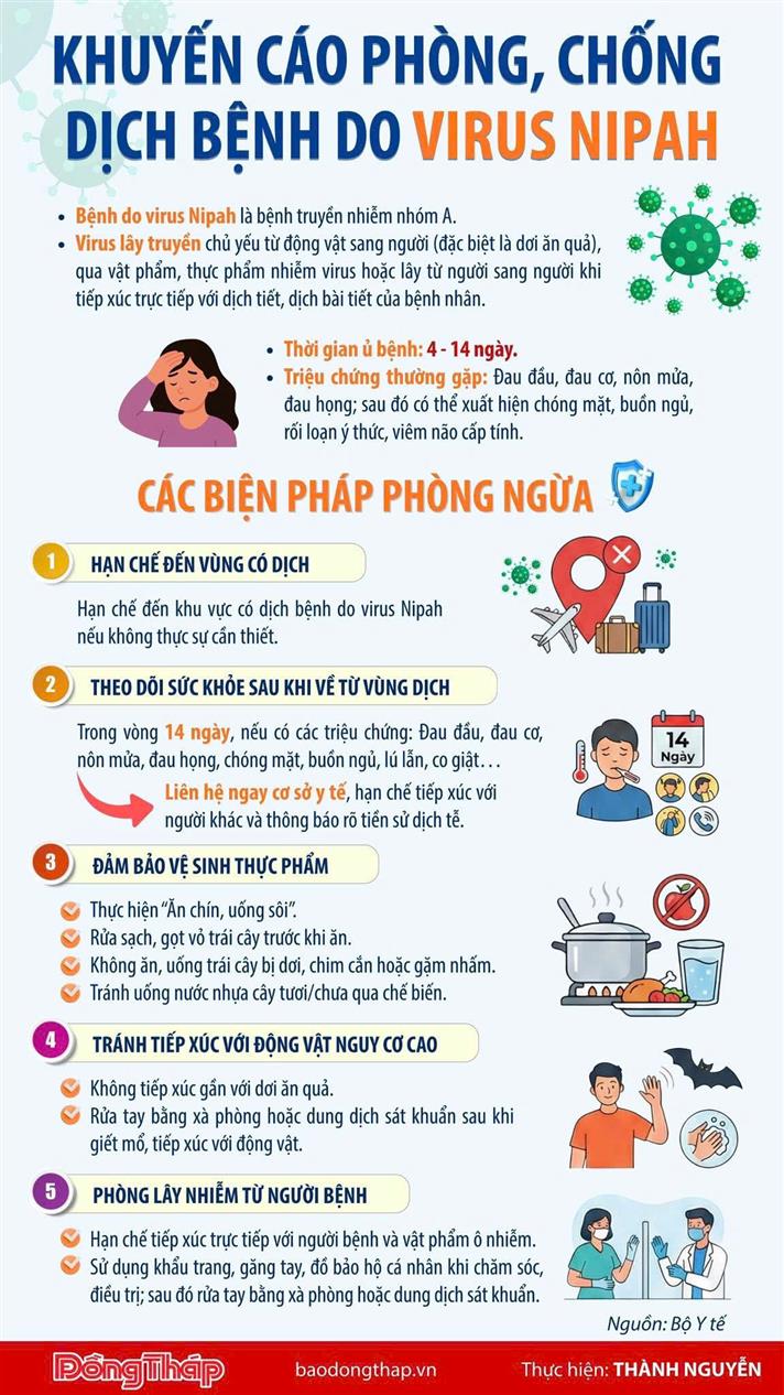 Virus Nipah - cơ chế gây bệnh và các biện pháp phòng ngừa