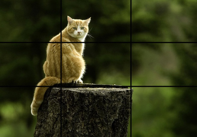 C:\Users\Windows 7\Downloads\20710123136-ky-thuat-chup-anh.jpg