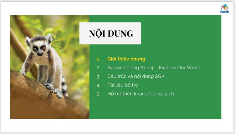 A lemur on a tree

Description automatically generated with low confidence