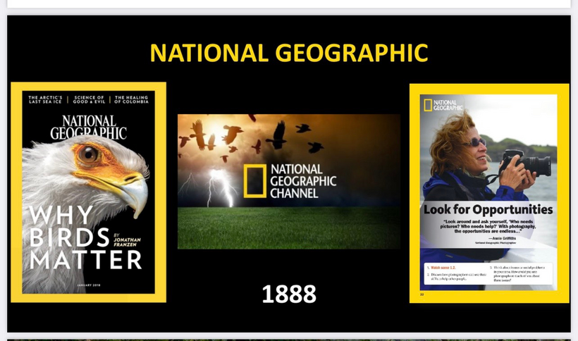 A picture containing text, bird, bird of prey, screenshot

Description automatically generated