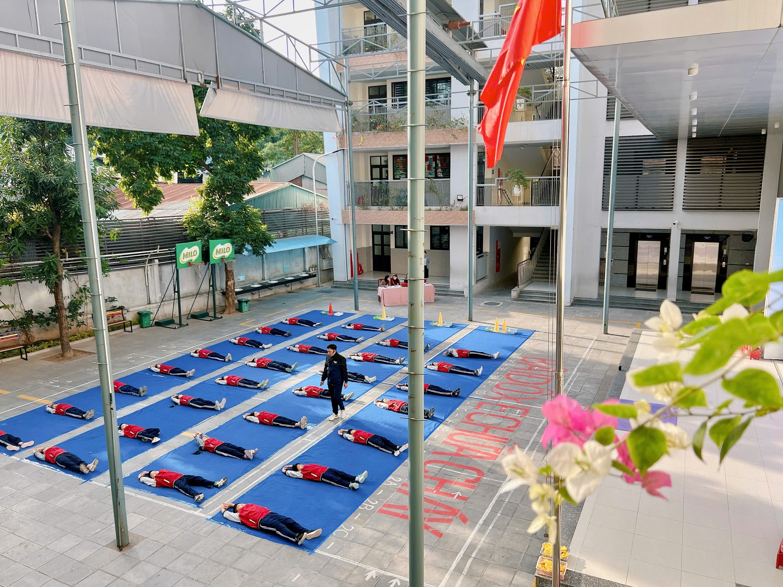 Ảnh có chứa tòa nhà, thực vật, hoa, màu xanh lam

Nội dung do AI tạo ra có thể không chính xác.